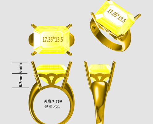 DIY Jewelry Custom Made Ring 3D Design