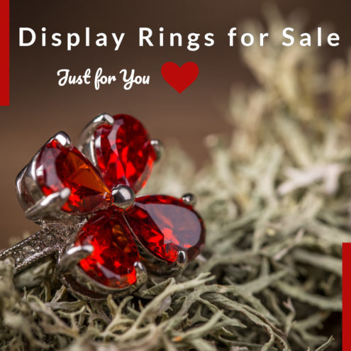 Display Rings for Sale